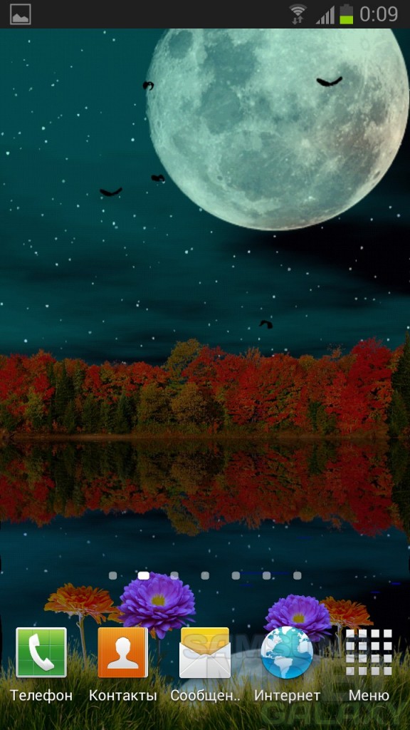 Живые обои Autumn Lake - осень, озеро, лес