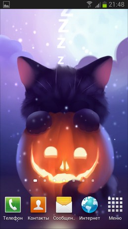 Halloween Kitten - живые обои с котом к хэллоуину