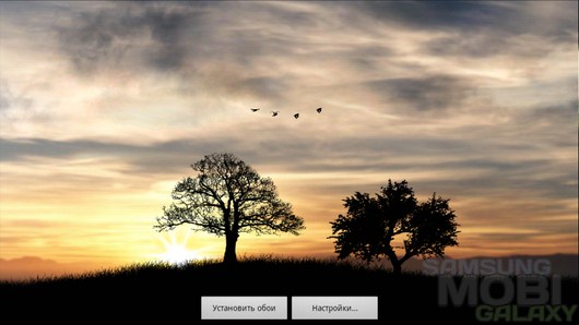Sun Rise Free Live Wallpaper – шепот природы для Android