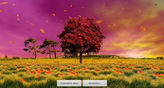 Autumn Trees Live Wallpaper – красавица осень для Android