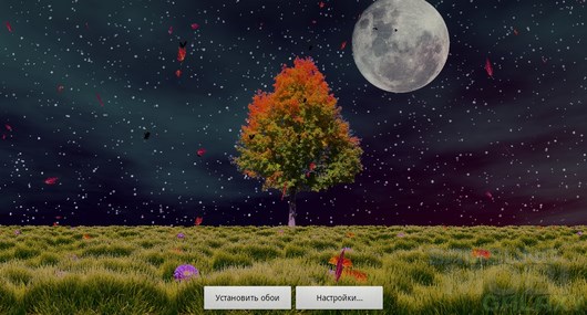 Autumn Trees Live Wallpaper – красавица осень для Android