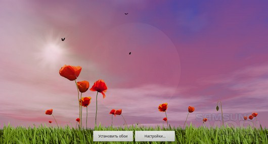 Poppy Field Live Wallpaper – маковое поле для Android