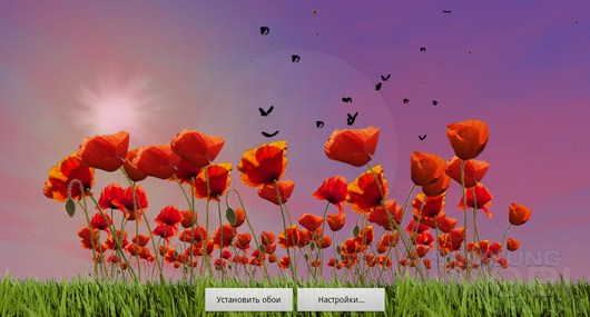 Poppy Field Live Wallpaper – маковое поле для Android