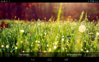 Galaxy S4 Rain n Grass – зеленая травка для Android