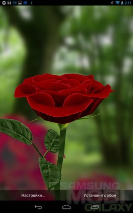 3D Rose – живые розы для Android