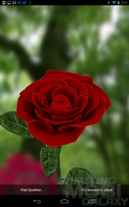3D Rose – живые розы для Android