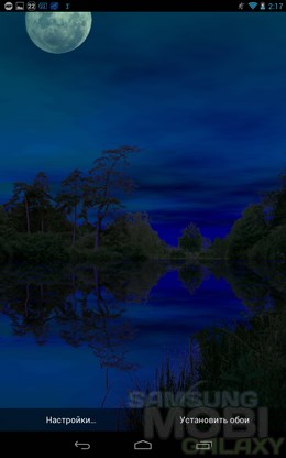 Forest Pond Live Wallpaper – красивый лес для Android 