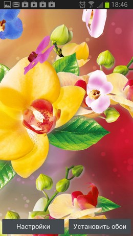 3D Орхидеи – яркие цветы для Android 