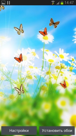 Flowers n Butterflies – ромашковое поле для Android