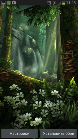 Forest HD – реалистичный лес для Android