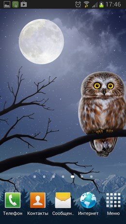 Owl Landscape – большеглазая сова для Android
