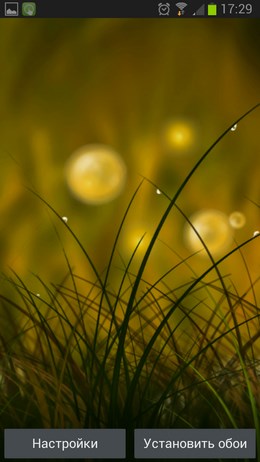Colorful Summer Meadow – зеленая лужайка для Android