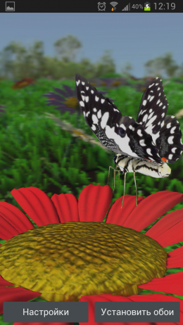 Butterfly X LWP – цветочные луга