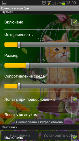 Котенок и Колибри – интересные обои для Android