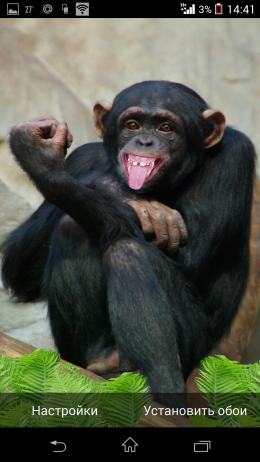 Смех - Funny Monkey для Android