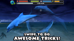 Dolphin Simulator - трюк