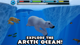 Polar Bear Simulator - океан