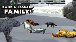 Snow Leopard Simulator - семья