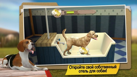 DogHotel lite - дрессура собак